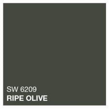 SW 6209 Ripe olive  