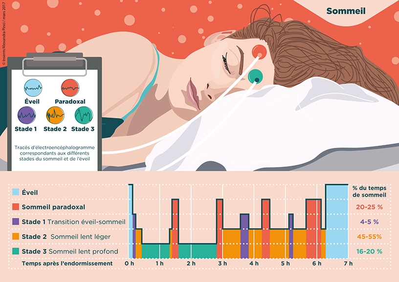 1vp L7bGLeKQmC8i5L6wcThq9S I5qBoGTdEGIvcfJFKXgnvL0X Vous avez des problèmes de sommeil ?
La sophrologie peut vous aider à comprendre et vous donner les outils pour agir.