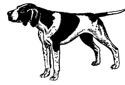 http://dogsod.com/images/5501-black-and-white-dog-clip-art.gif