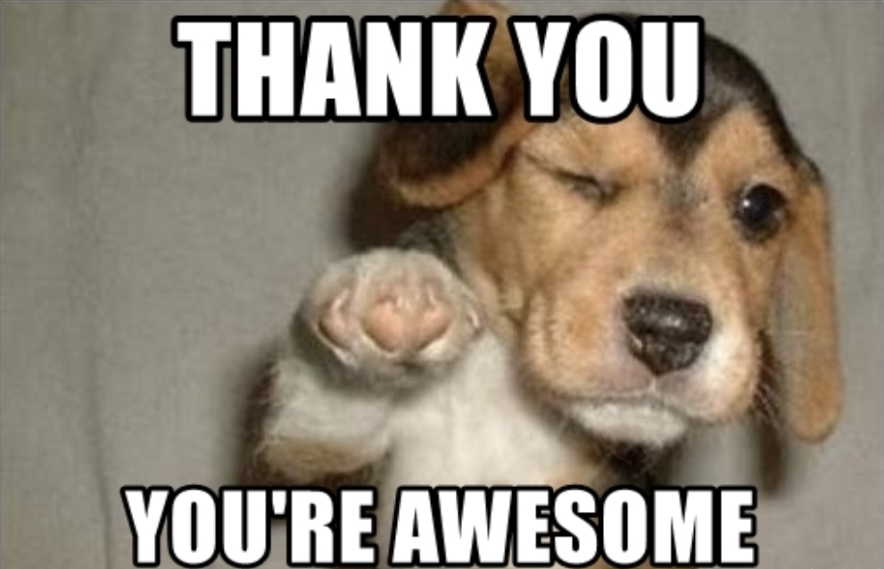 A cute dog pointing and saying "thank you, you're awesome!"