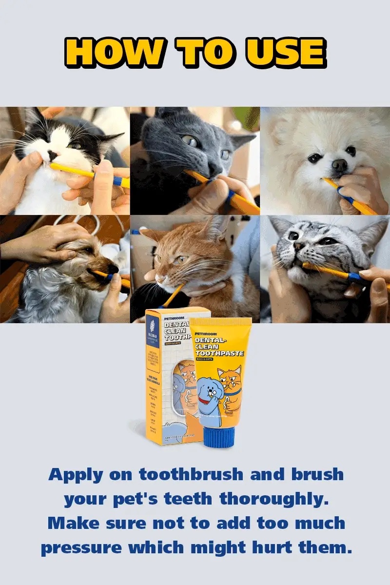 韓國 PETHROOM 寵物牙齒清潔牙膏 60g