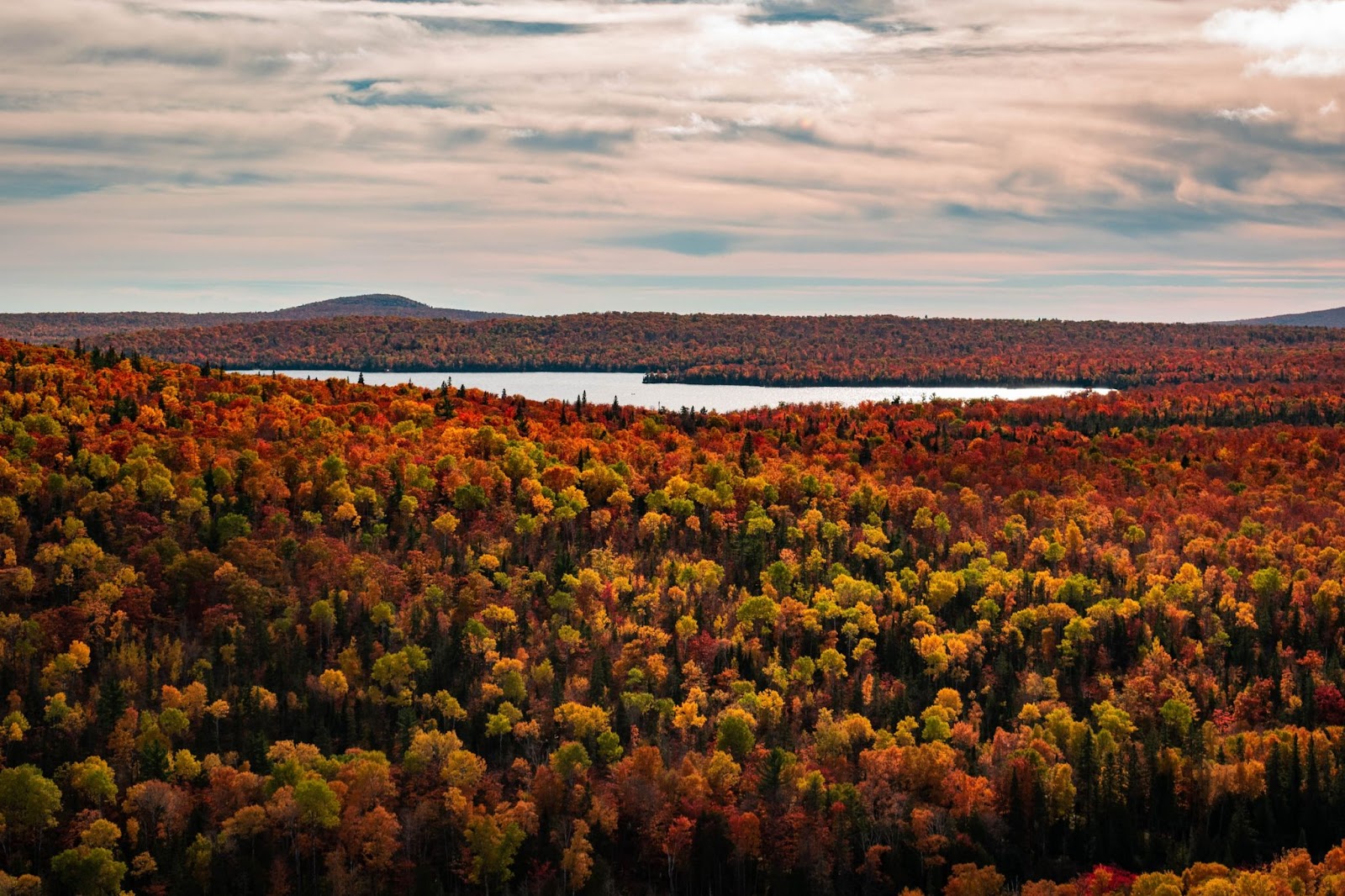 A forest full of fall colors, with a lake in the background in the distance