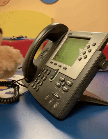 GIF of a bear dialing on a phone