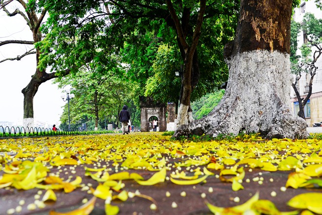 http://huongnghieponline.vn/images/media_db/news/1428461709__DSC6176.jpg