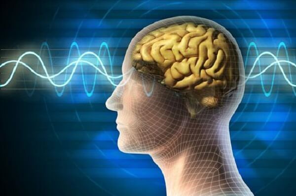 Rối loạn tiền đình là gì?