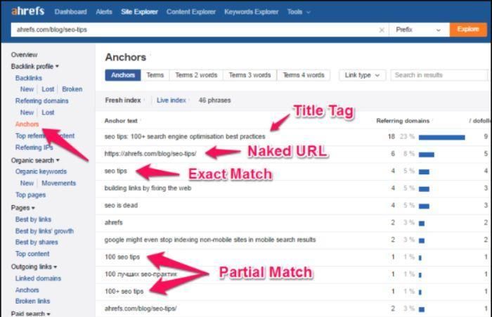 neo ahrefs cho seo với các chiến lược SEO của google
