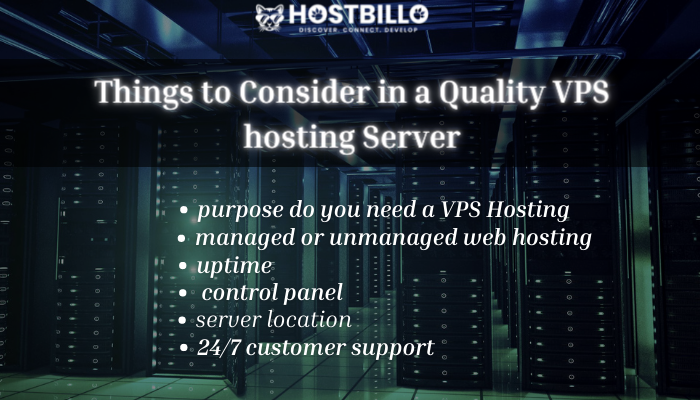 Things to Consider in a Quality VPS hosting Server