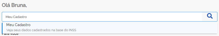 Meu Cadastro no Meu INSS