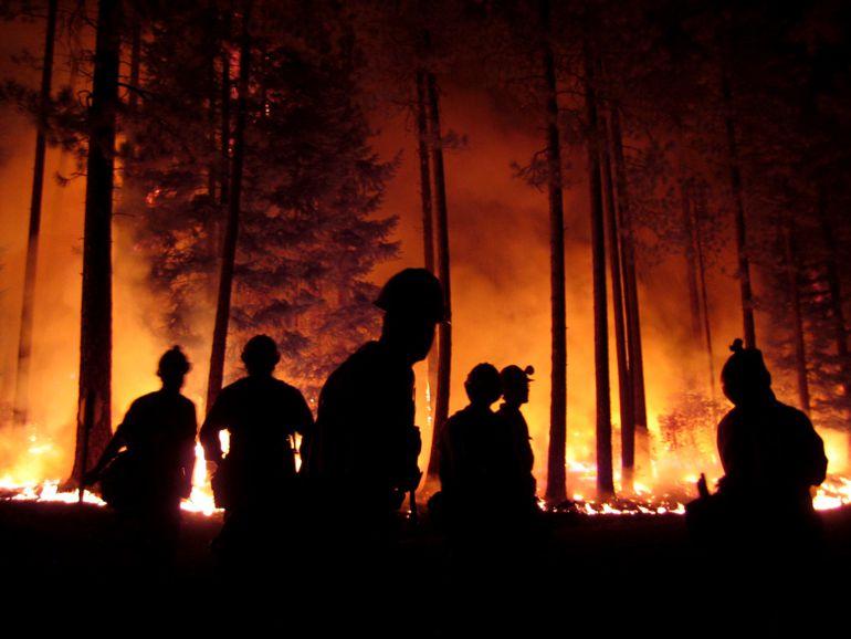 La inteligencia artificial para prevenir los incendios forestales | Radio  Murcia | Cadena SER