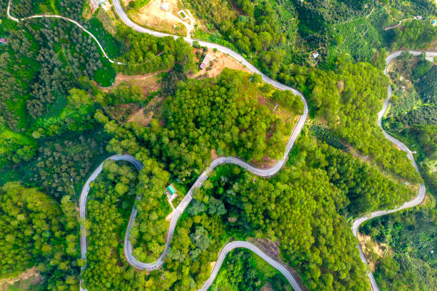 anh hoa da lat