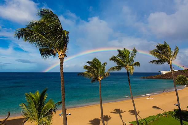 How Long Does It Take to Drive Around Maui (Recommended Stops)