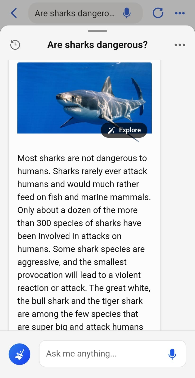 The chat function starting a conversation about the topic of 'are sharks dangerous?'