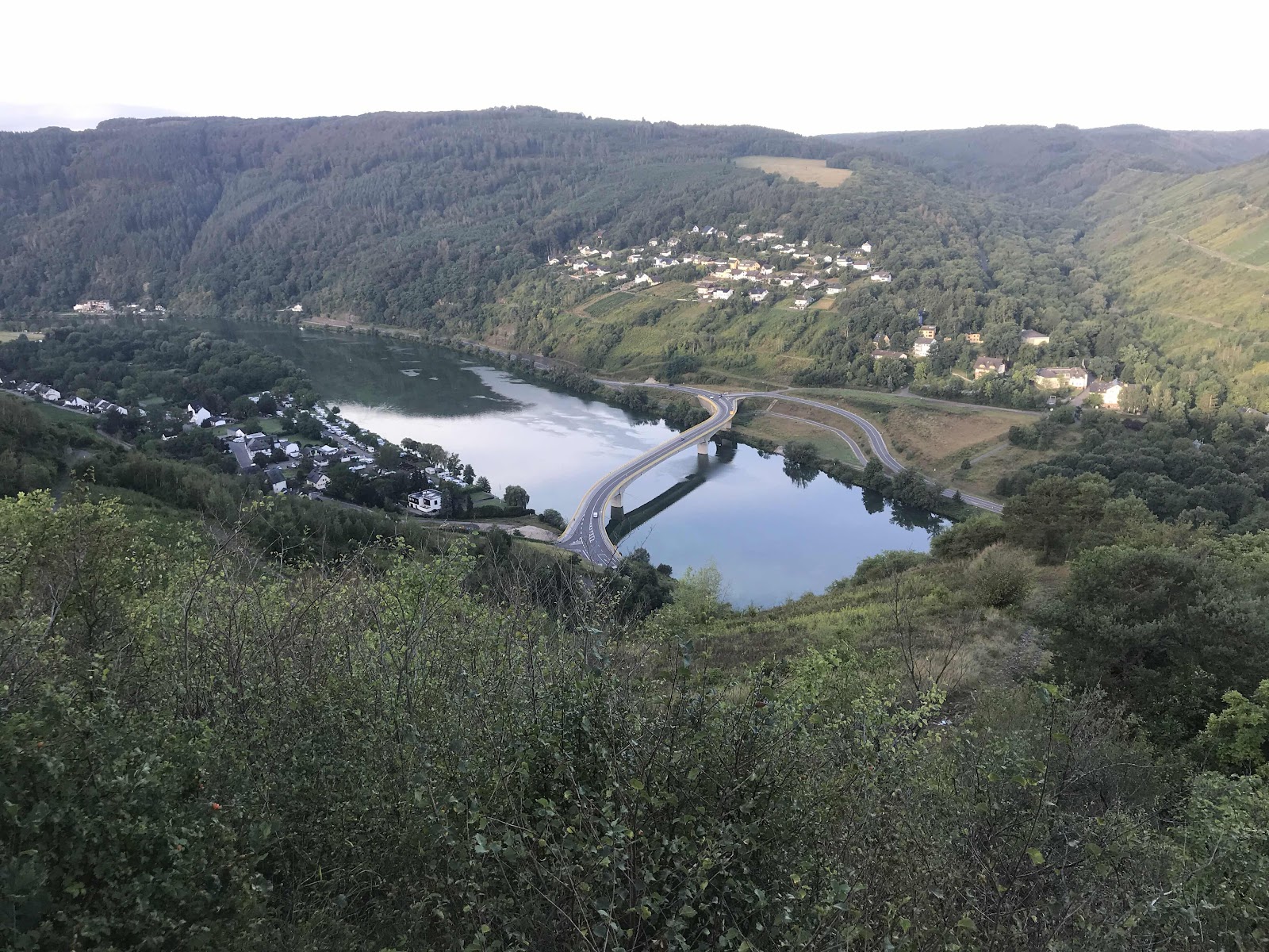 Moezel-panorama, Traben-Trarbach