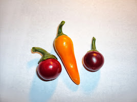 2b-GXK0HbDSR5KGqf_7C_ierQqc8oUdp5lsHEdzK_So=w268-h200-p-no