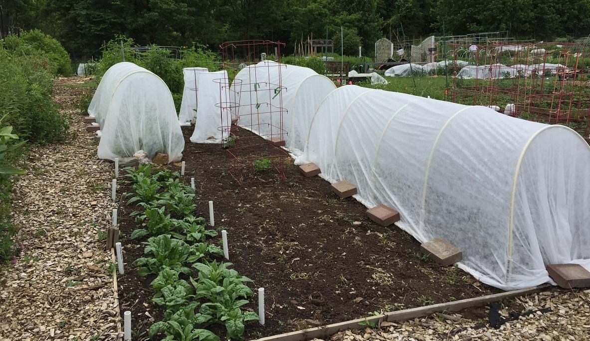 Floating Row Covers