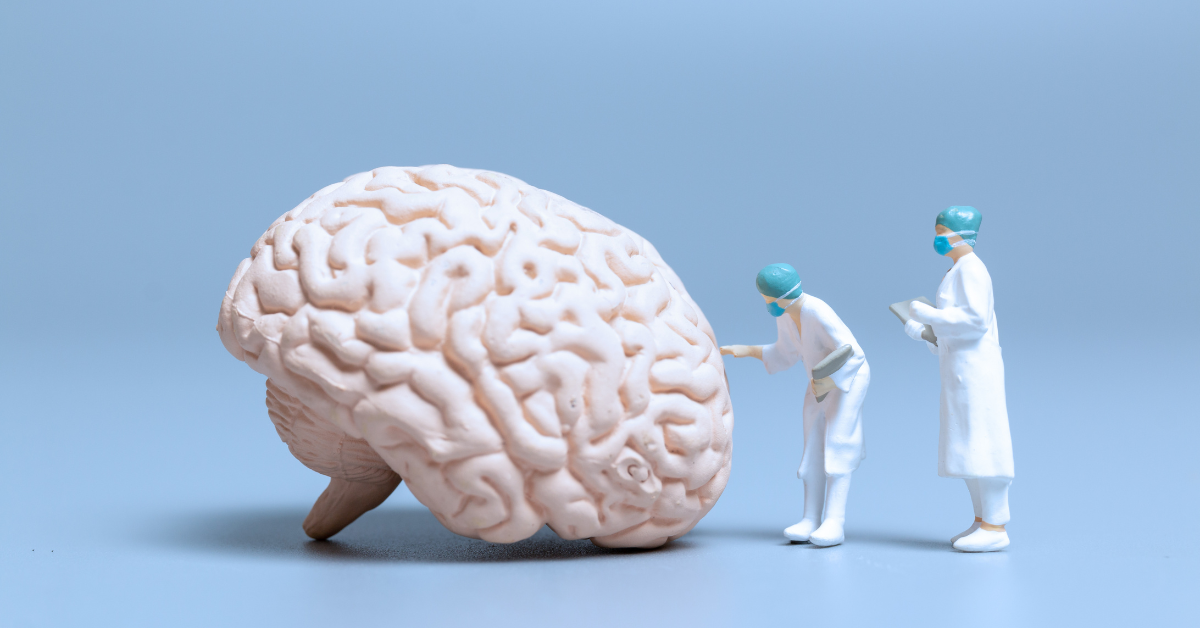 Two doctors closely examining a model of the brain, representing the exploration of current Alzheimer's treatment options and their limitations.