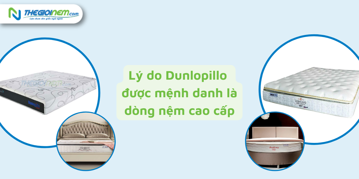 Cửa hàng nệm Dunlopillo chính hãng tại bến Lức, Long An