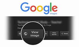 Google Image Search