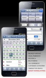 Download Budget Planner & Web Sync apk