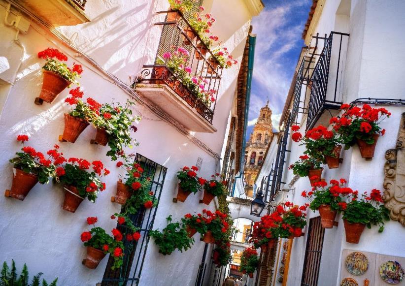 Patios de Córdoba en Córdoba: 121 opiniones y 302 fotos