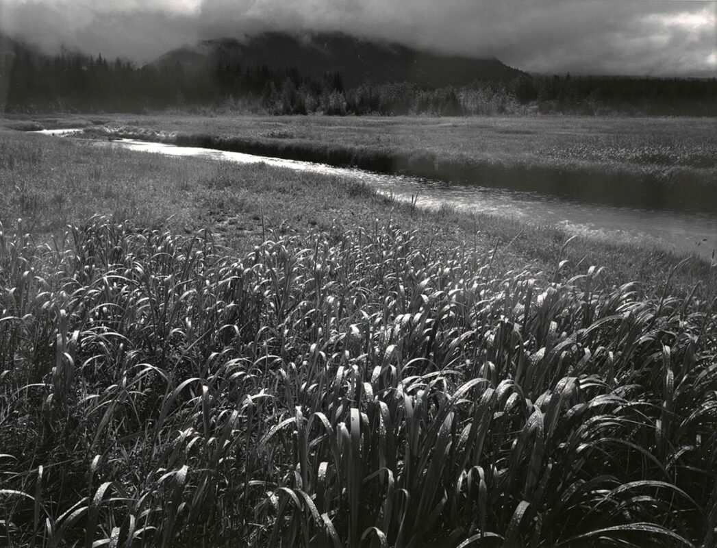 rain beartrack cove glacier bay ansel adams