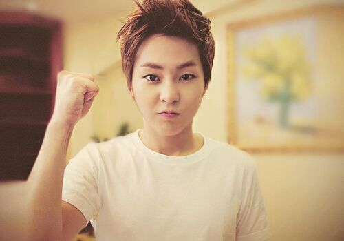 Image result for xiumin fighting