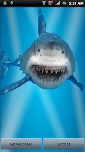 Download Angry Shark Jaws Crack Screen apk