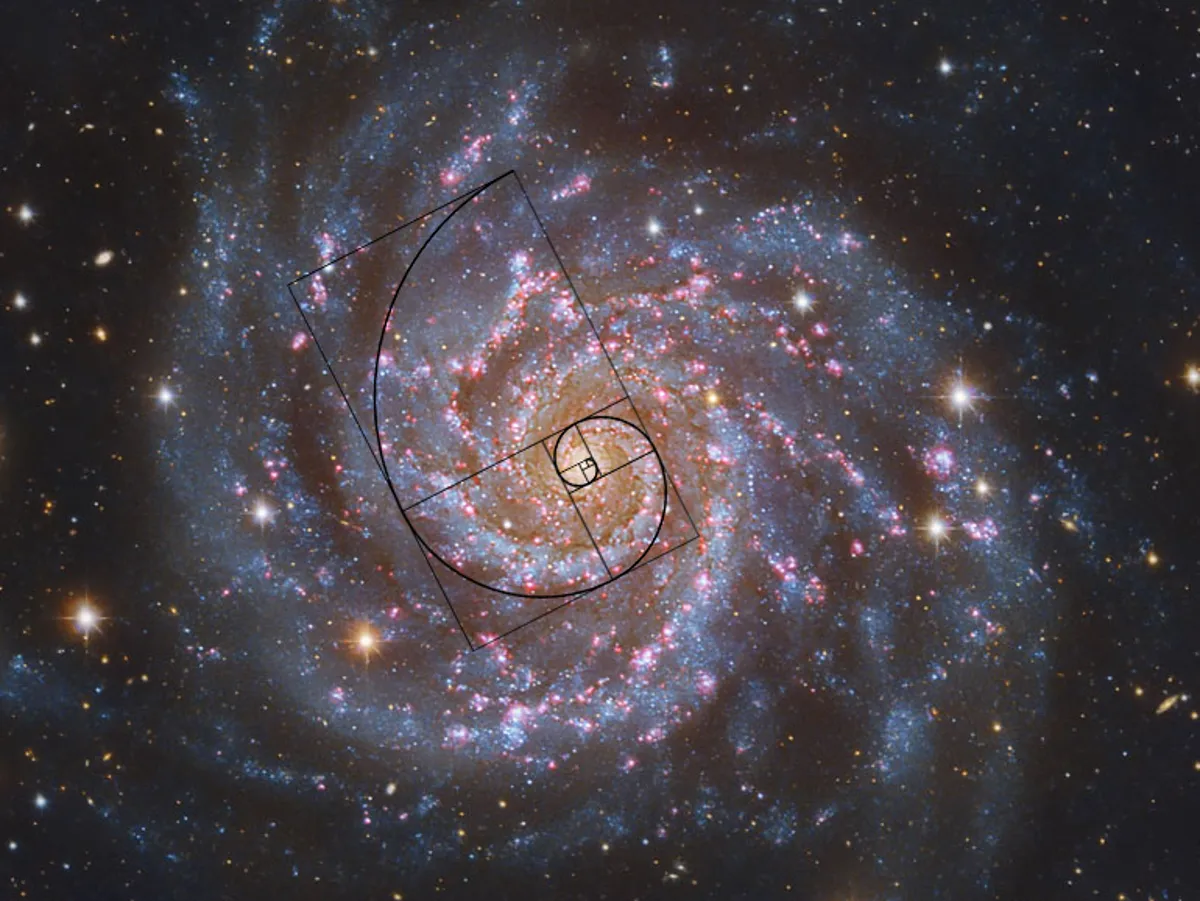 A spiral galaxy whose arms resemble the spiral generated in the Maple Learn document on the golden spiral.