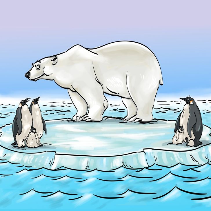spot the mistake of penguins and polar bears standing together