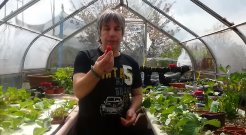 Grower holding radish