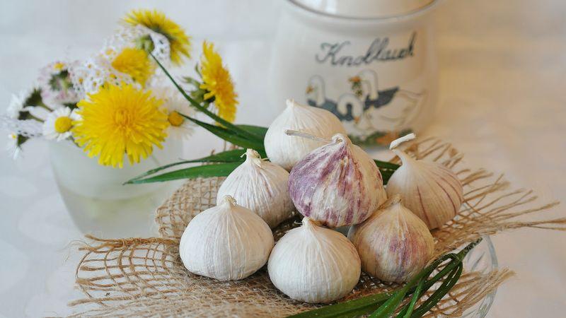 Garlic protects against organ damage 