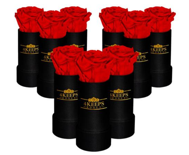 4Keeps Roses