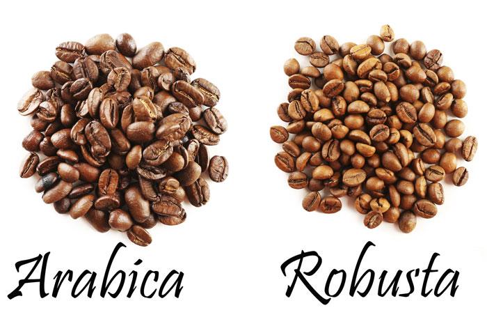 Giá 1kg cà phê rubosta và giá 1kg cà phê Arabica hiện nay như thế nào?