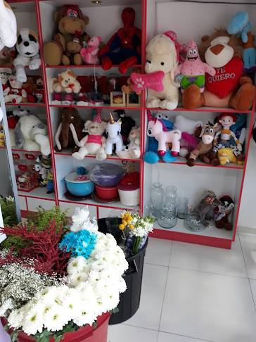 Opiniones de Isa' Bella Flor en Quito - Floristería