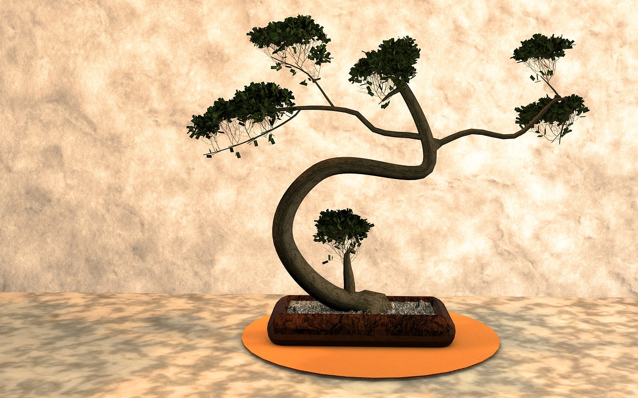 Top 15 Benefits of Bonsai Plants that will Make your Life Awesome