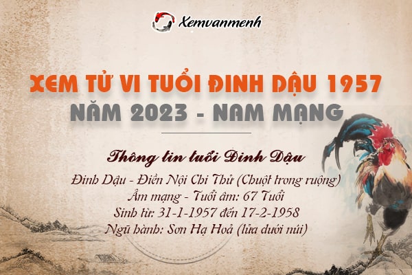 Xem bói tử vi tuổi Đinh Dậu nam mạng năm 2023 