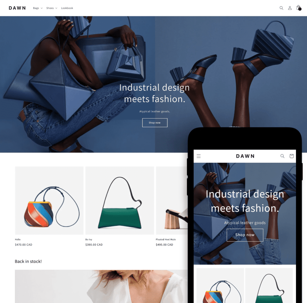 shopify theme dawn