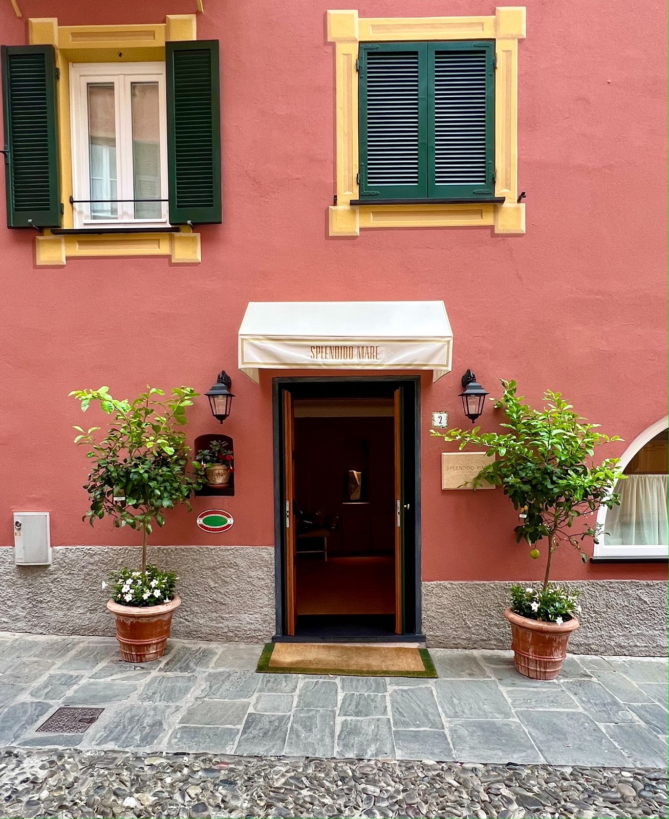 a building with a door and two potted trees
