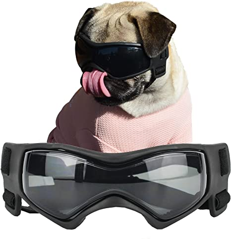 dog goggles