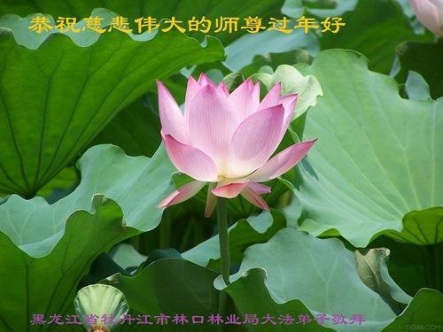 https://en.minghui.org/u/article_images/2022-1-30-2201220645126306_hpGtReN.jpg