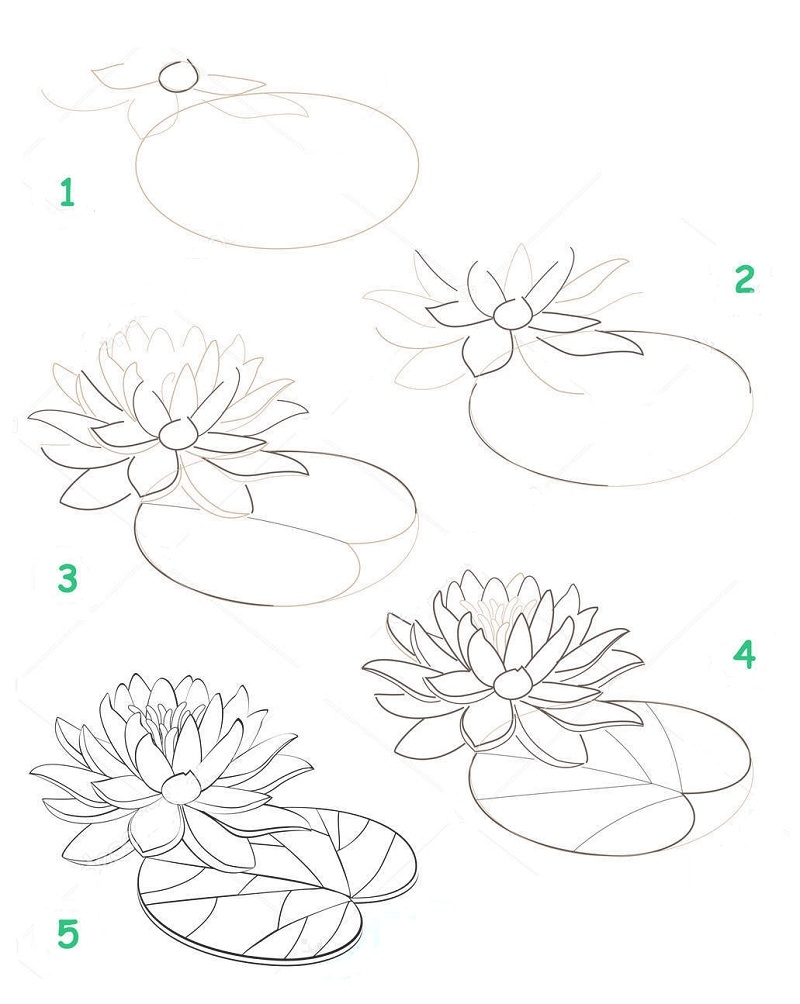 Как нарисовать поэтапно цветы