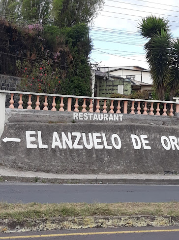 Comentarios y opiniones de El Anzuelo De Oro