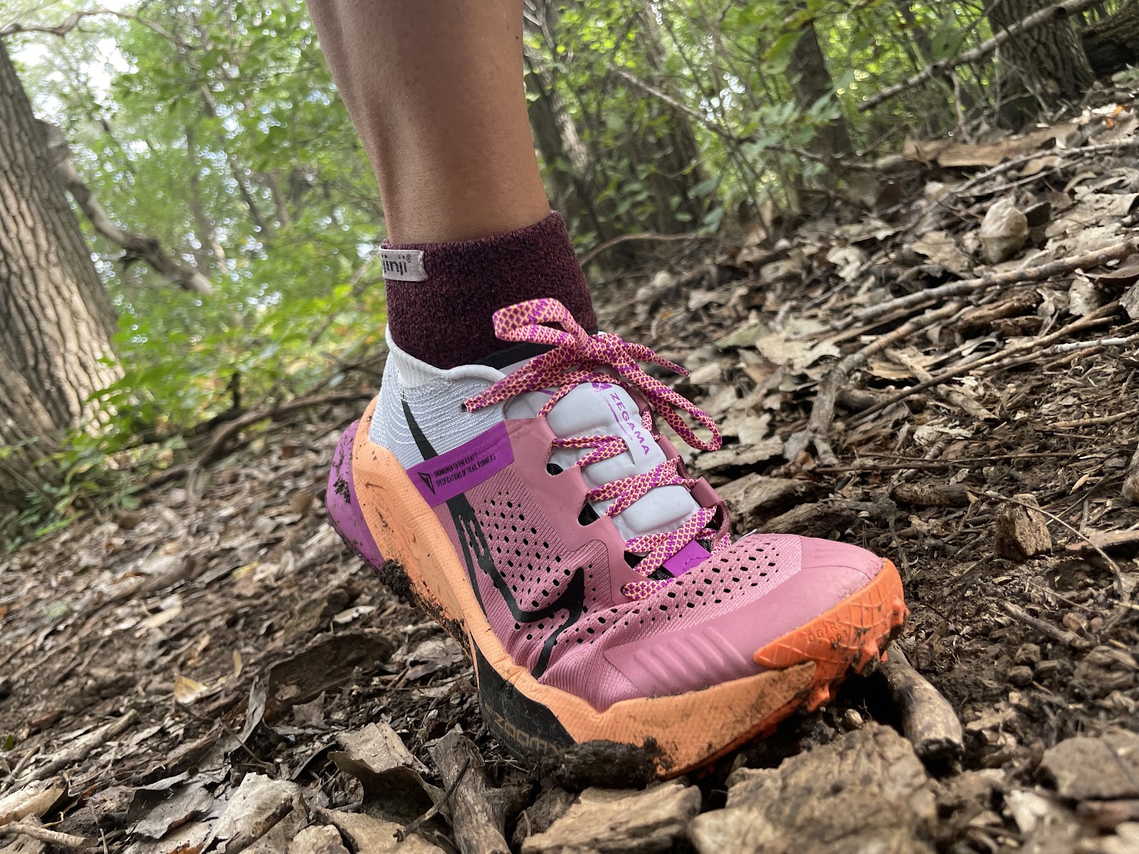 Road Trail Run: Nike ZoomX Zegama Trail Multi Tester Review with 10  Comparisons