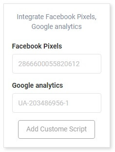  Facebook Pixels or Google Analytics