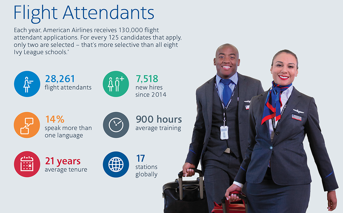 How to a flight attendant in 2024 Jobcase