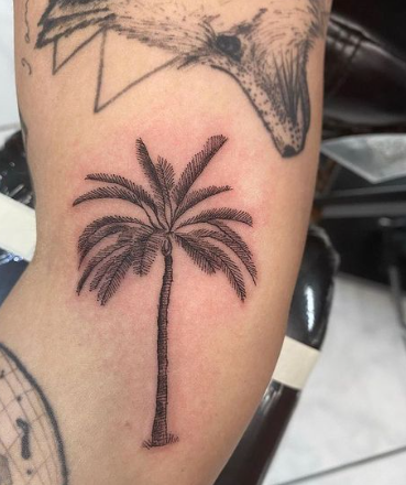 Simple Palm Tree Tattoo