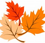 Image result for fall leaf logo