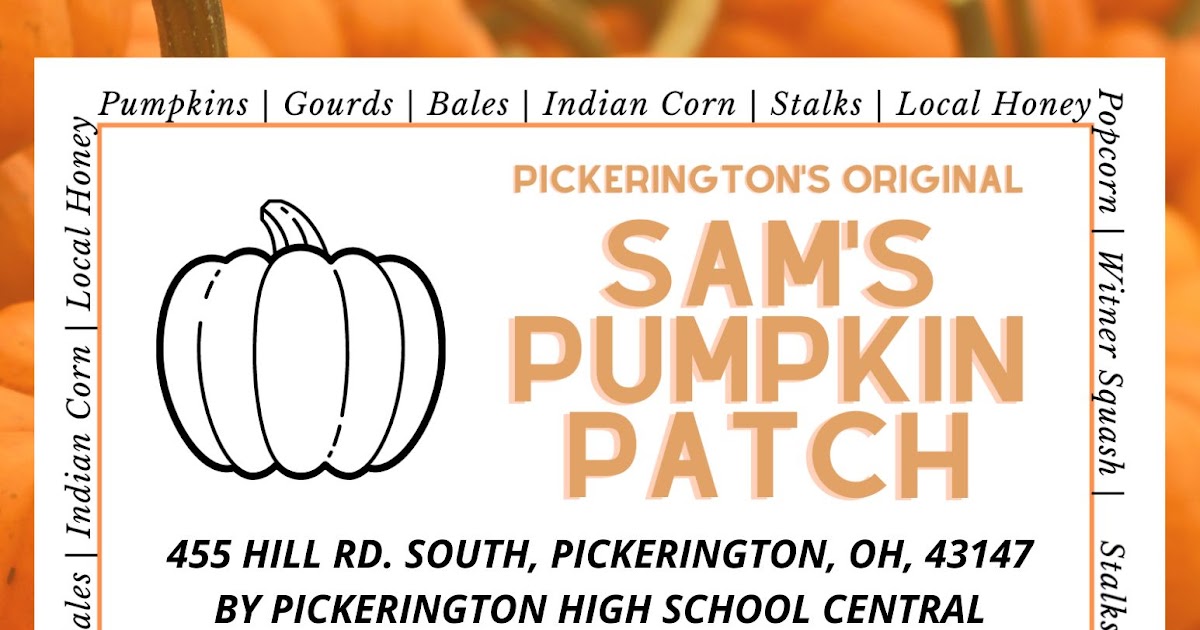 Pumpkin Patch(Flyer).jpeg
