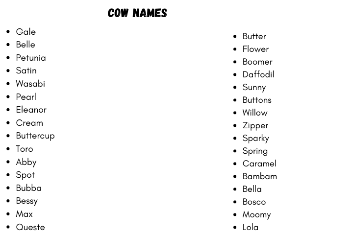 Pet Cow Names