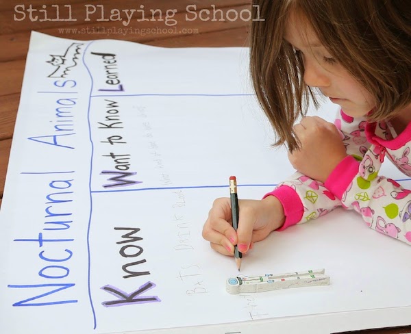 A child fills out a large KWL chart on nocturnal animals.